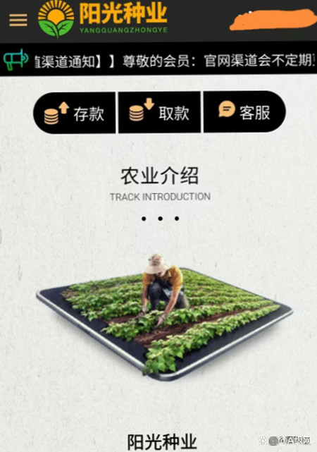 新型的网络诈骗——阳光种业