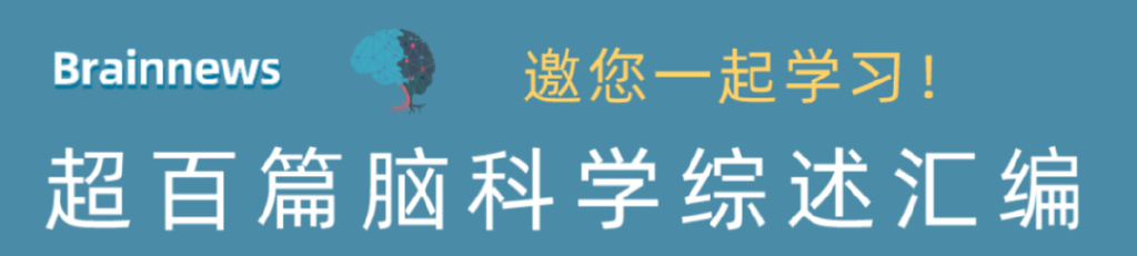 【脑科学日报】第1585期 | 20221212 星期一