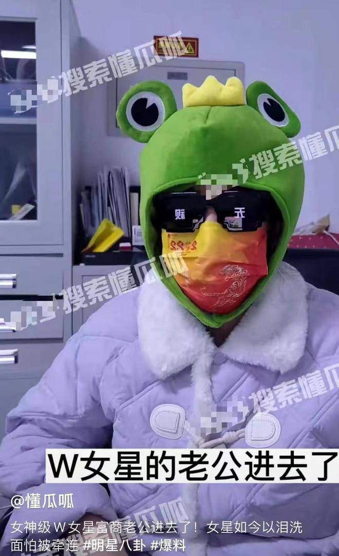王艳老公被抓？卖11亿豪宅实为救夫，“晴格格”要成下一个刘涛？