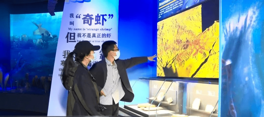 【播出预告】周末上山挖化石玩？注意，这样做有可能违法……