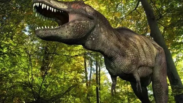 Science公布：全世界最前沿的16个地学科学问题