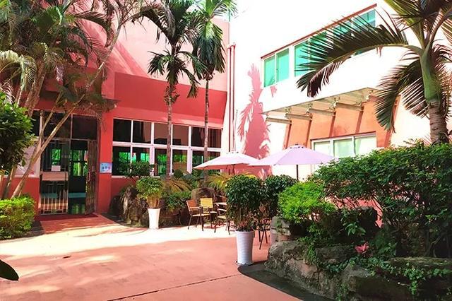 看完深圳这些国际学校的线上课堂之后，我爱上了学习！