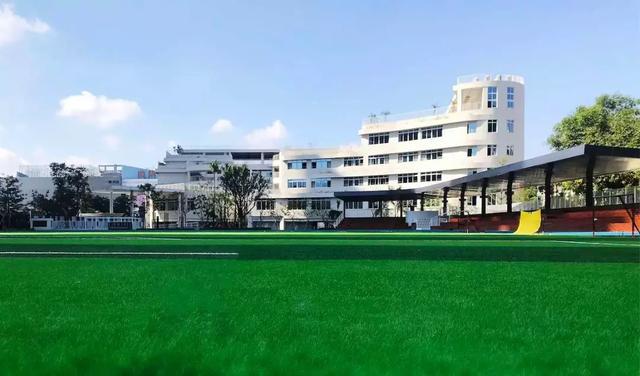 看完深圳这些国际学校的线上课堂之后，我爱上了学习！