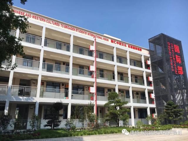 看完深圳这些国际学校的线上课堂之后，我爱上了学习！