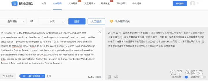 DeepL 或许会成为你今年首选的翻译工具