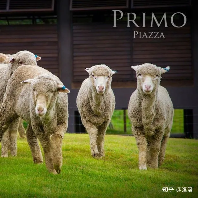 泰国【小众】景点|考艾意大利村庄primo piazza