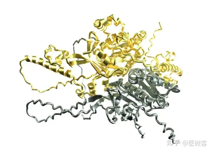 重磅！Science公布2021十大突破，Nature公布十大科学新闻！
