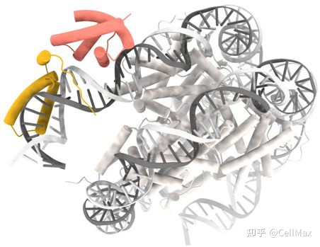 2022年3月Science期刊精华