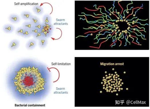 2021年6月Science期刊精华