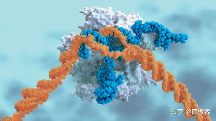 重磅！Science公布2021十大突破，Nature公布十大科学新闻！