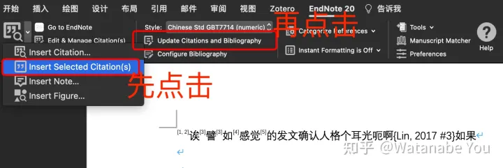 Endnote 入门 一看就懂 没有废话 毕业设计不慌
