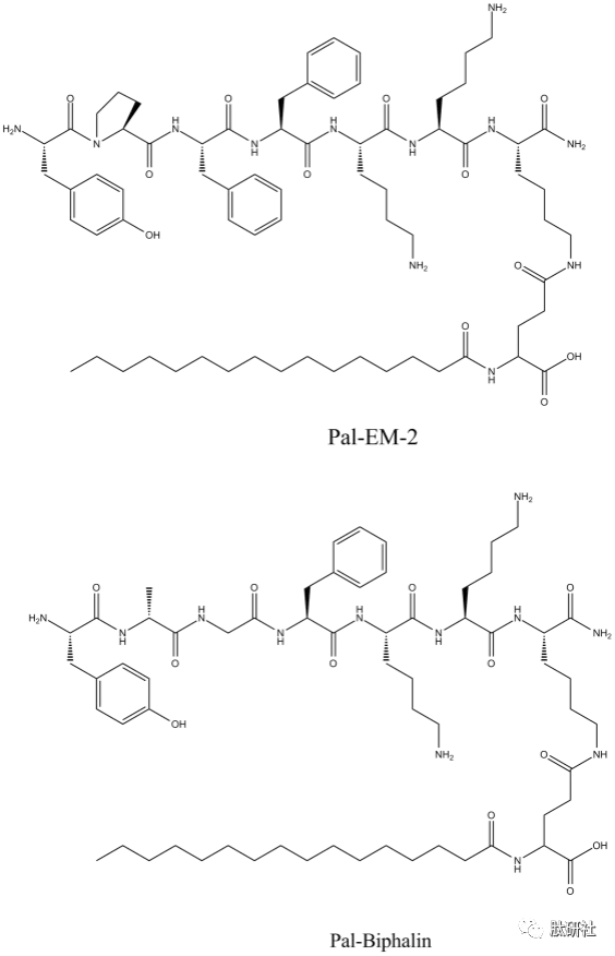 Ginger专栏 | 镇痛肽药物