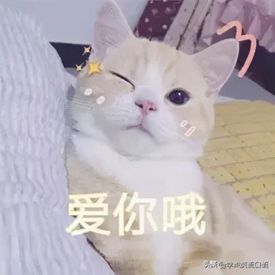 “Pizza”真的不读“披萨”，错了这么多年