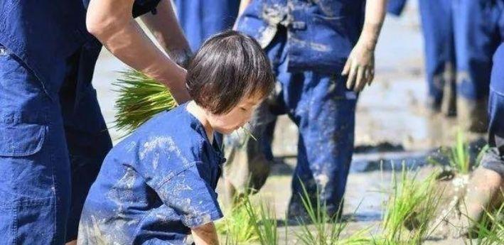 30亩小农场，每天游客爆满的原因