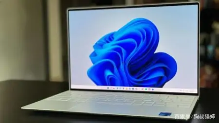 Windows 11 已经发布：您应该立即升级吗？狗叔带你说一说