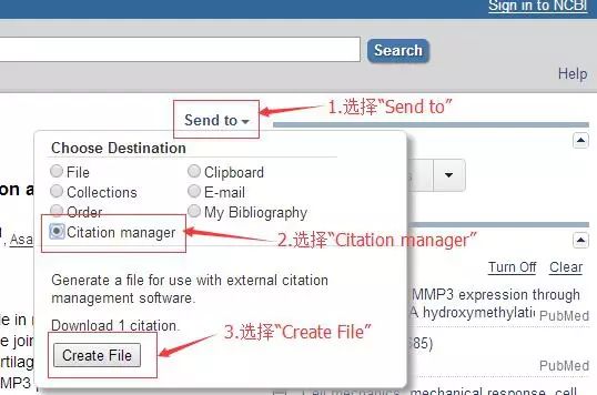 手把手教你如何用 EndNote 写毕业大论文