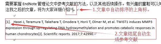 手把手教你如何用 EndNote 写毕业大论文