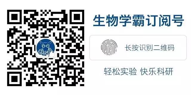 手把手教你如何用 EndNote 写毕业大论文