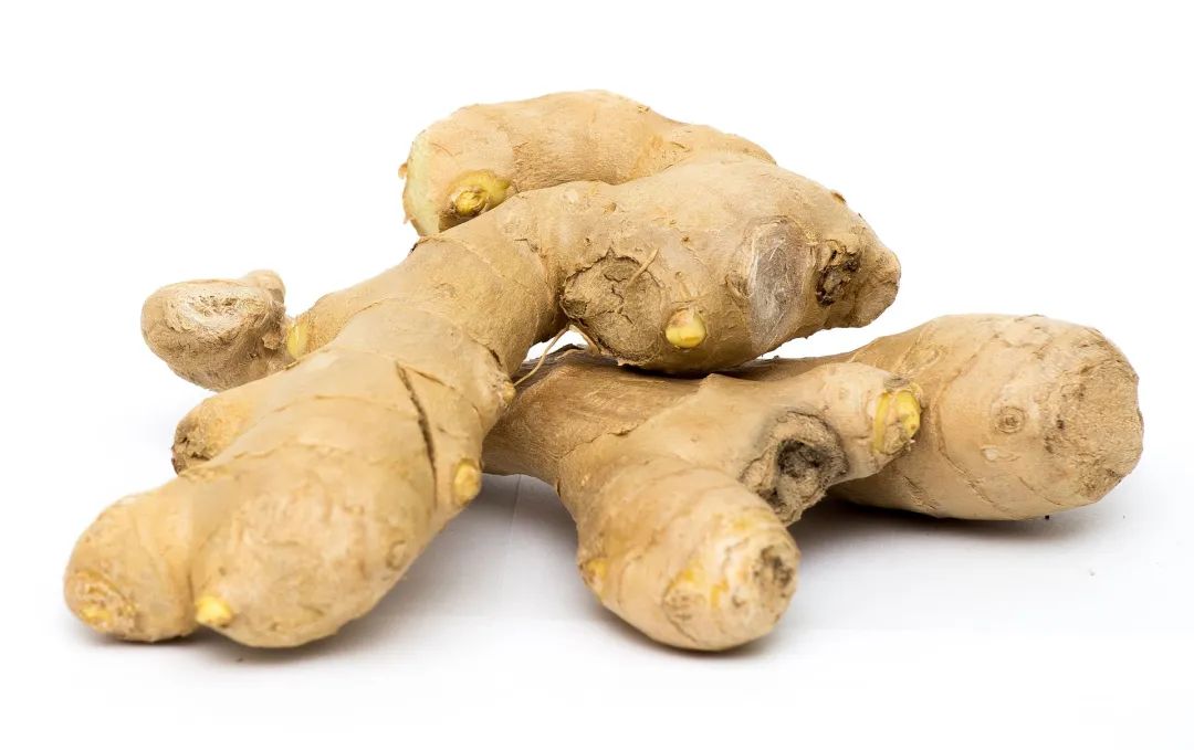 Ginger 生姜 |  让生活更温暖一些