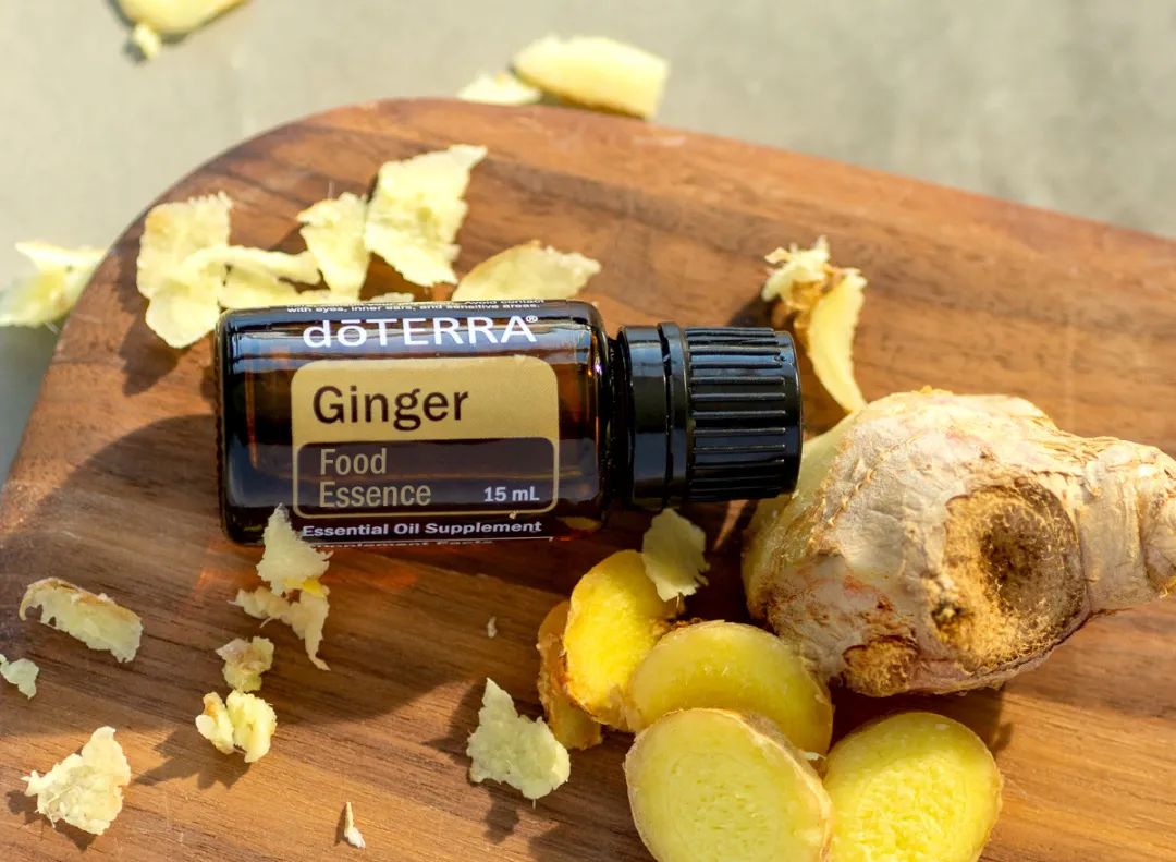 Ginger 生姜 |  让生活更温暖一些