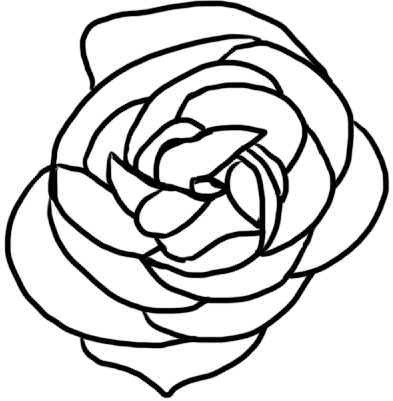Ginger 生姜 |  让生活更温暖一些