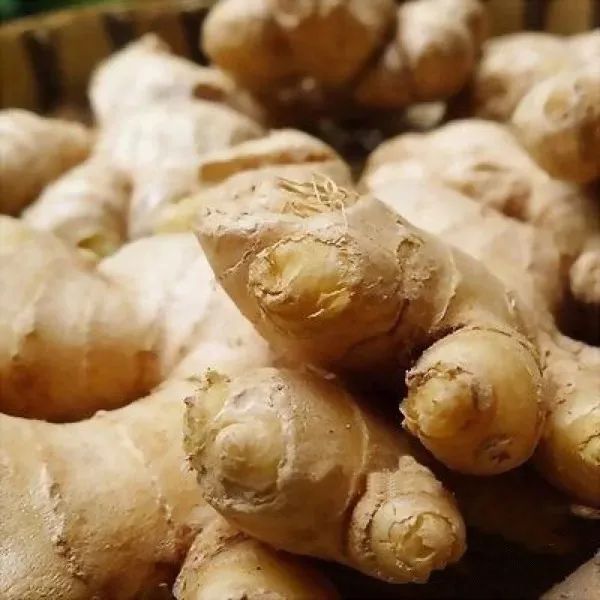 北美第一品牌姜The Ginger People，老爸评测推荐的唯一姜品牌，日本高岛屋、上海久光、香港city shop均有售