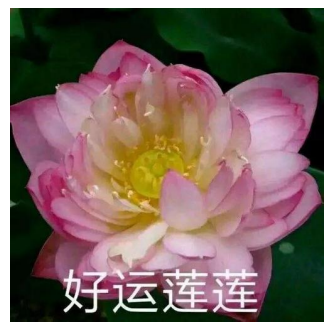 干货满满！论如何让你的研究生文书脱颖而出