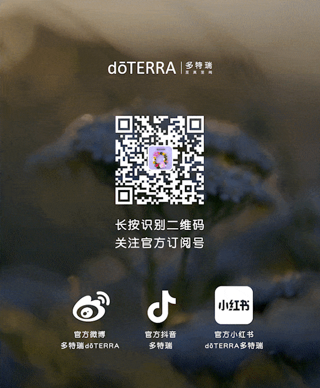 Ginger 生姜 |  让生活更温暖一些