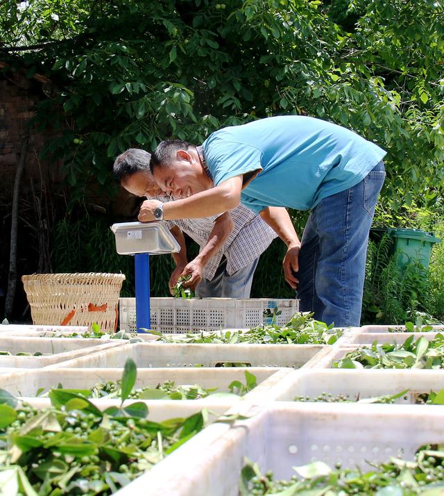 川菜常用调味品总结到位值得收藏
