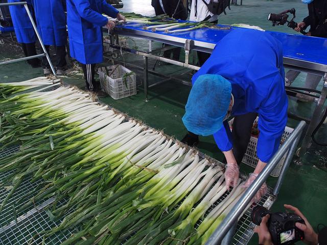 川菜常用调味品总结到位值得收藏