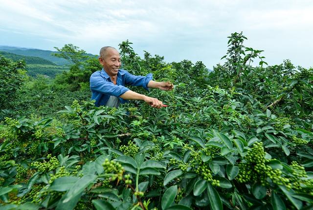 川菜常用调味品总结到位值得收藏
