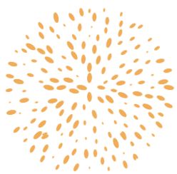 前沿种草机｜马斯克整的活在让未来变好吗？