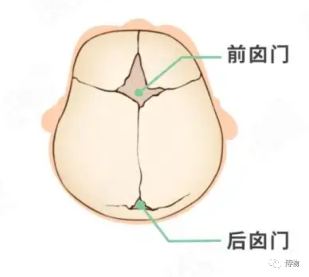 咱爸妈给咱睡个扁头的执念是哪来的？