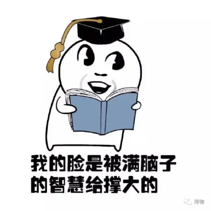 咱爸妈给咱睡个扁头的执念是哪来的？