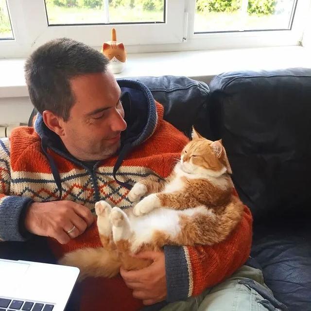 即使你阅猫无数，见到这只橘猫也会心动，真的太美了！